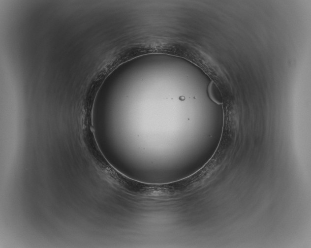 X0000113750750200909231131