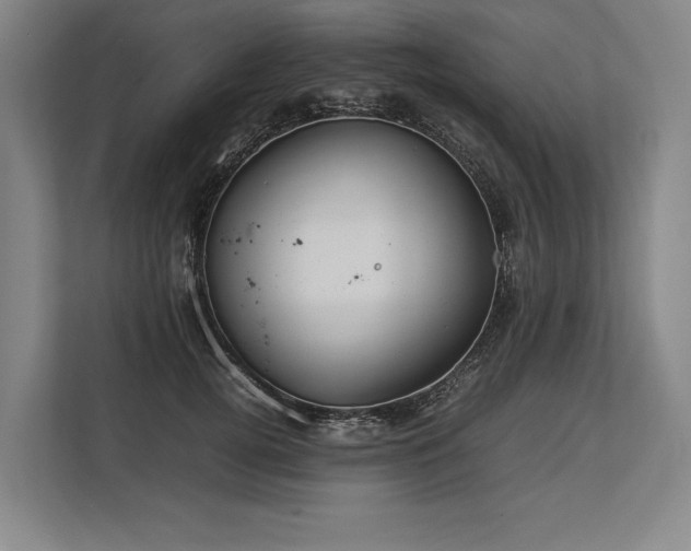 X0000113750752200909231131