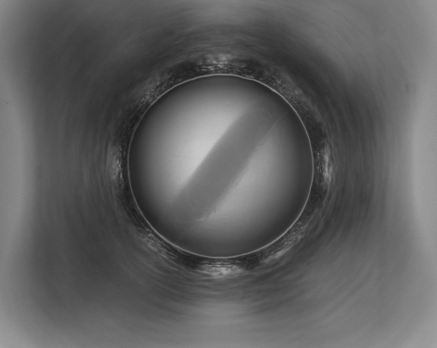 X0000113750754200909231131