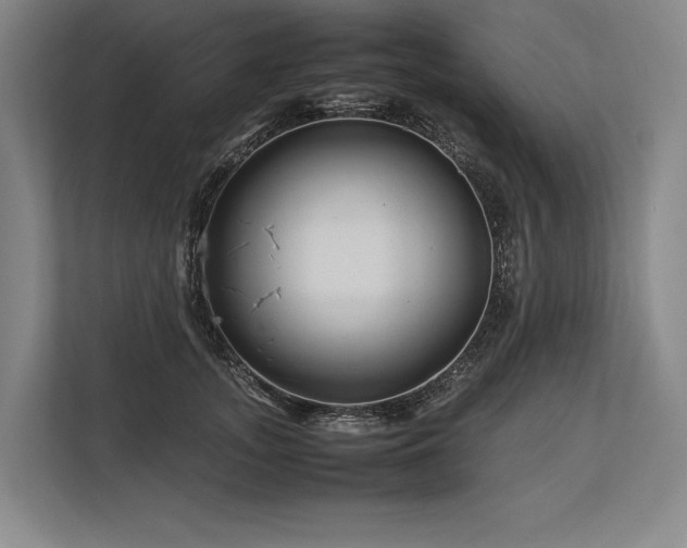 X0000113750755200909231131