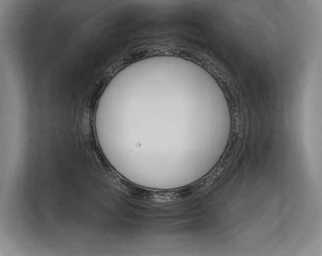 X0000113750757200909231131