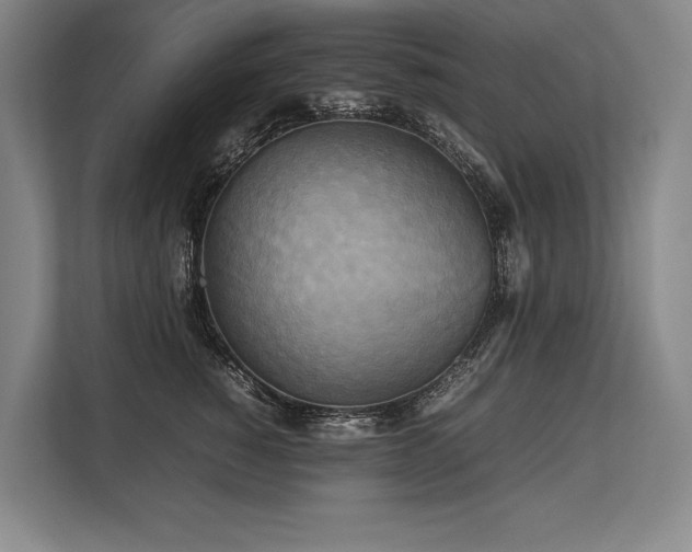 X0000113750760200909231131