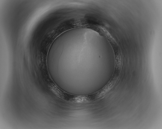 X0000113750762200909231131