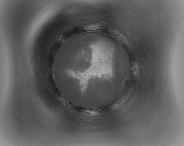 X0000113750763200909231131