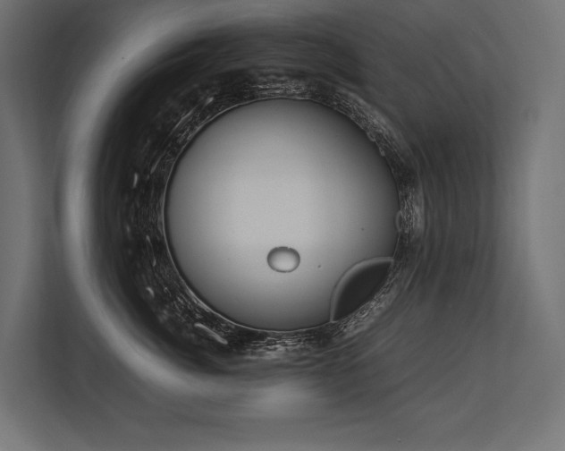 X0000113750764200909231131
