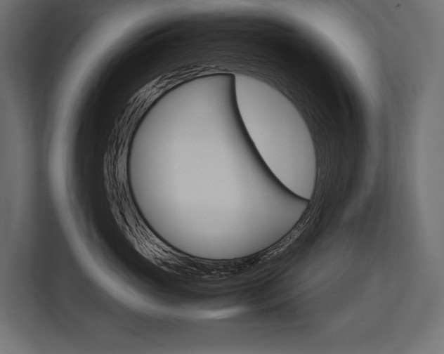 X0000113750765200909231131