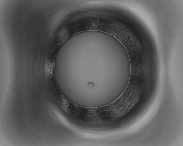 X0000113750766200909231131