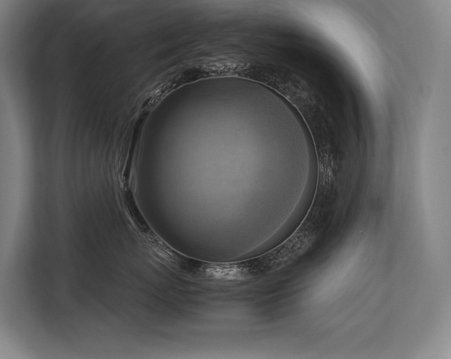 X0000113750767200909231131