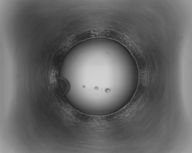 X0000113750770200909231131