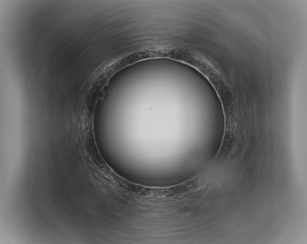 X0000113750773200909231131