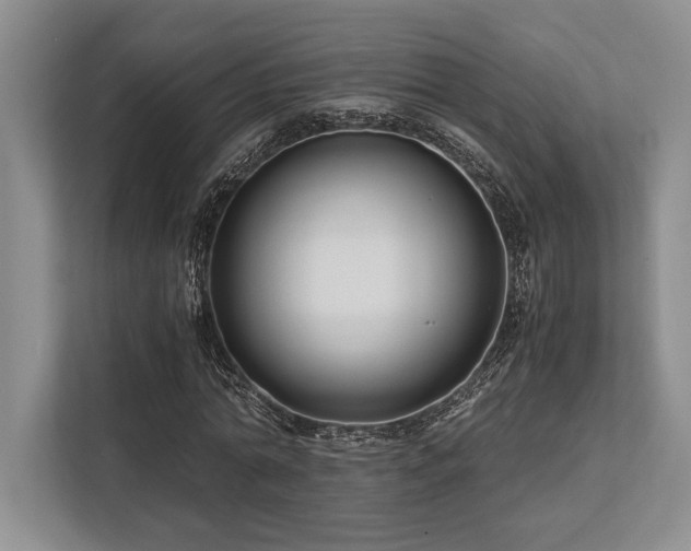 X0000113750774200909231131