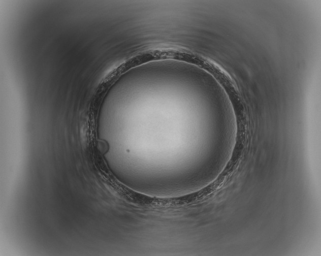 X0000113750775200909231131