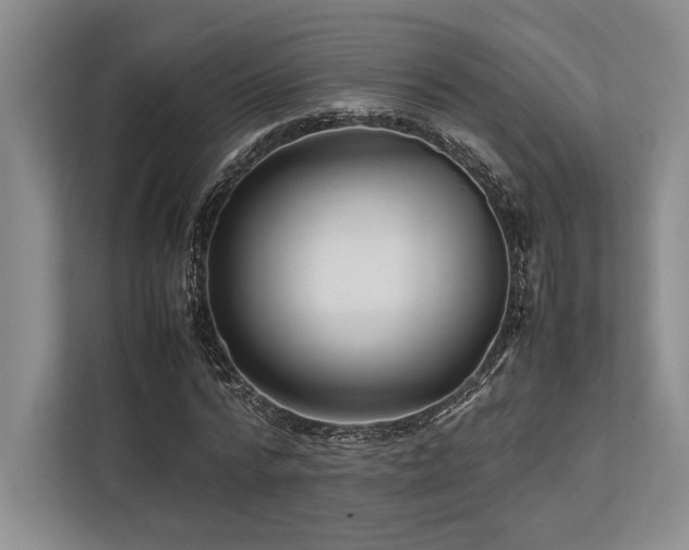 X0000113750776200909231131