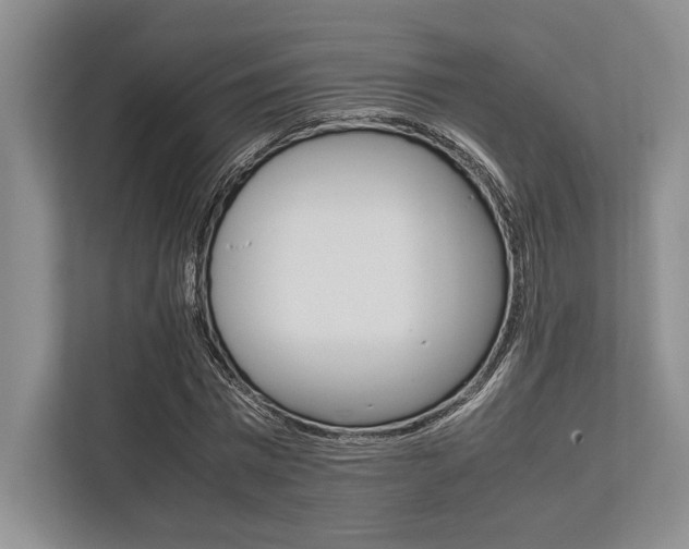 X0000113750777200909231131