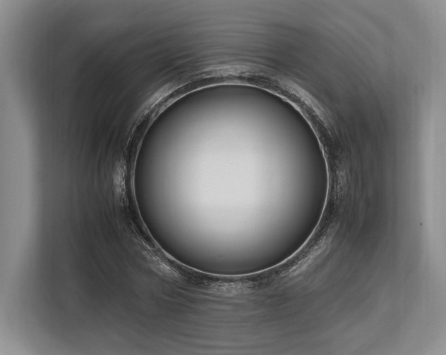 X0000113750778200909231131