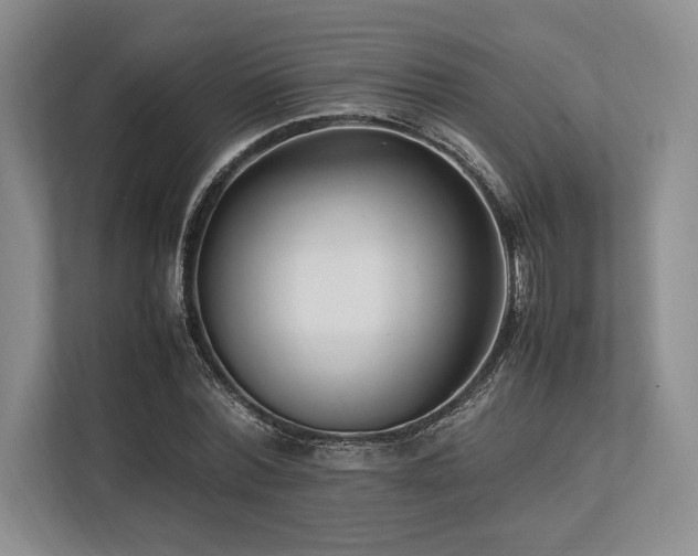 X0000113750780200909231131
