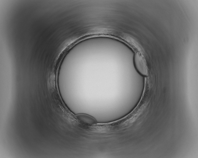 X0000113750781200909231131