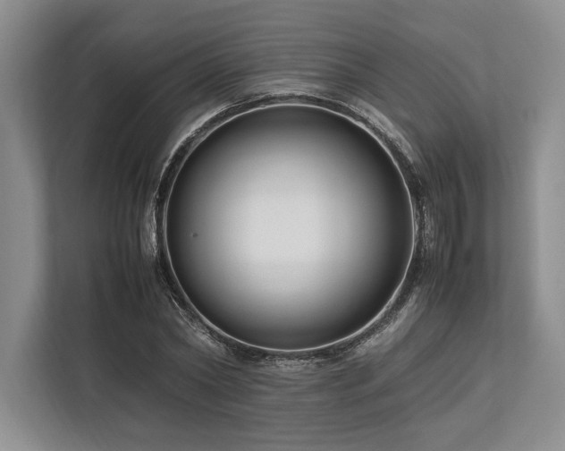 X0000113750782200909231131