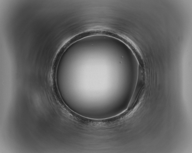 X0000113750783200909231131