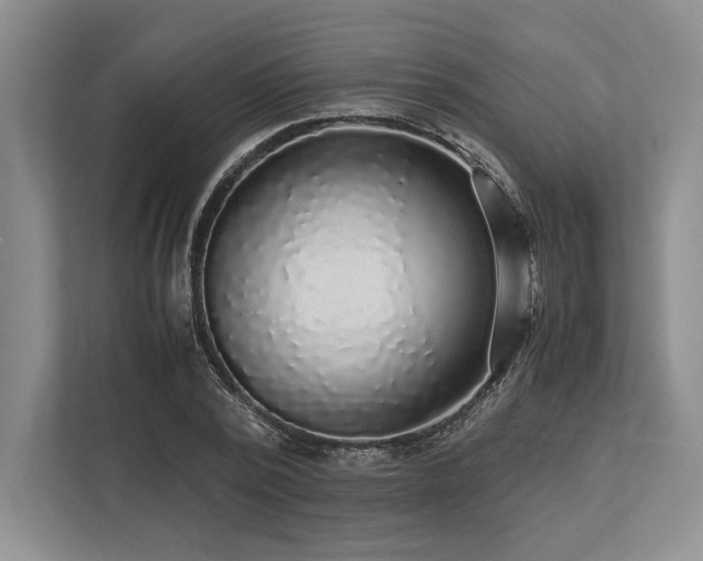X0000113750784200909231131
