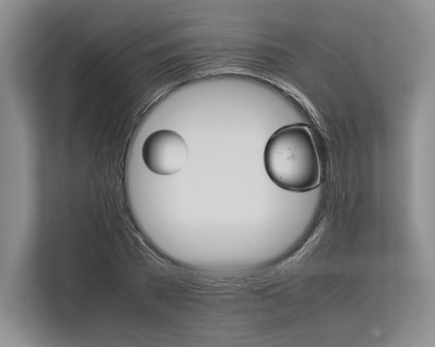 X0000113750785200909231131