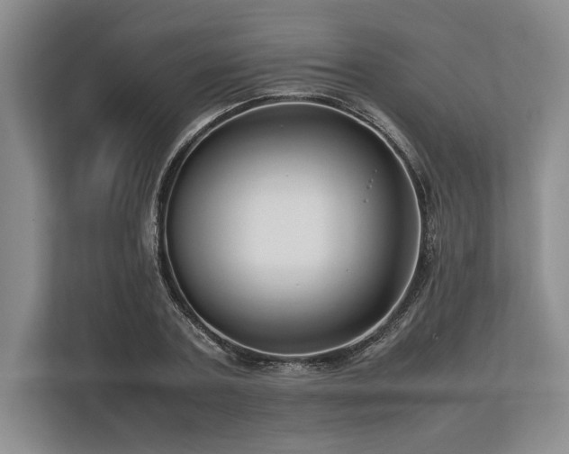 X0000113750787200909231131