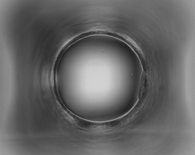 X0000113750791200909231131