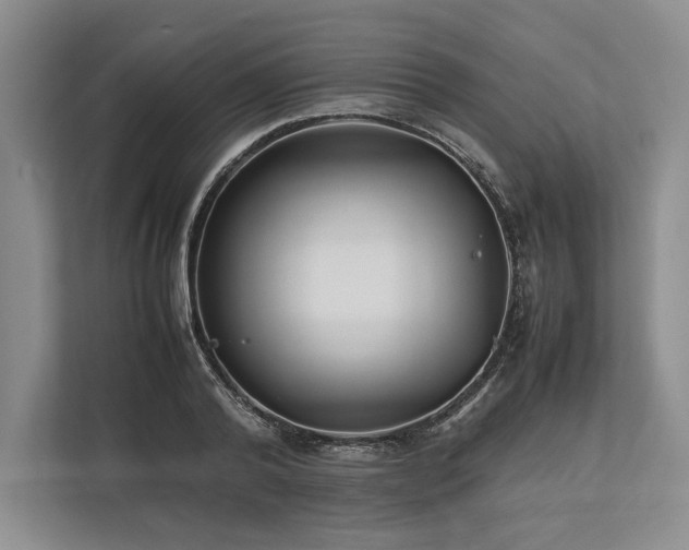X0000113750792200909231131
