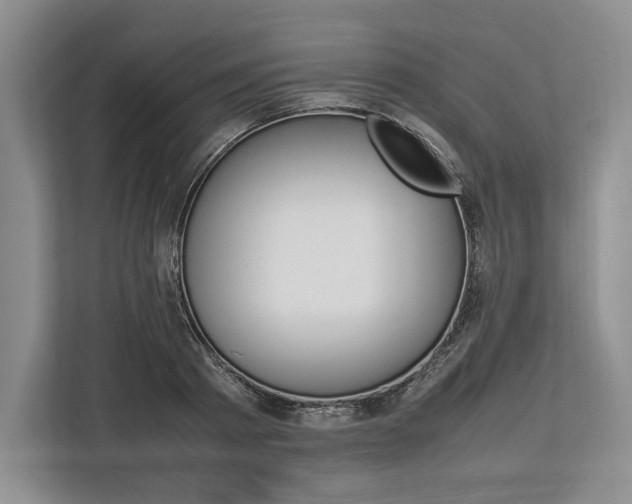 X0000113750793200909231131
