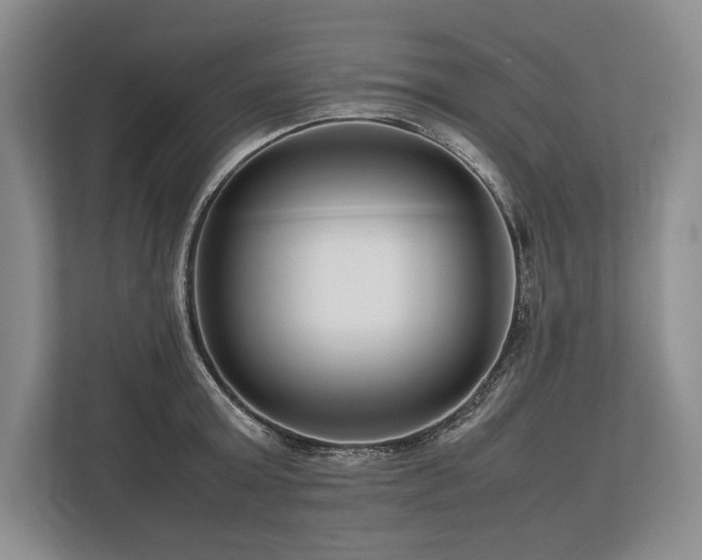 X0000113750803200909231130