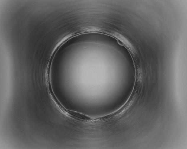 X0000113750806200909231130