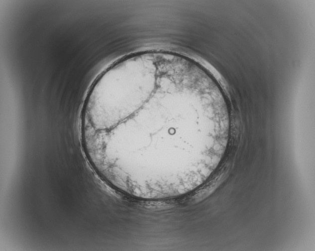X0000113750807200909231130