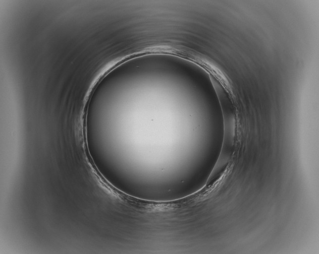 X0000113750808200909231130