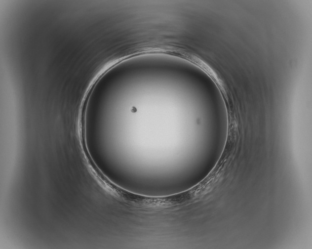 X0000113750811200909231130