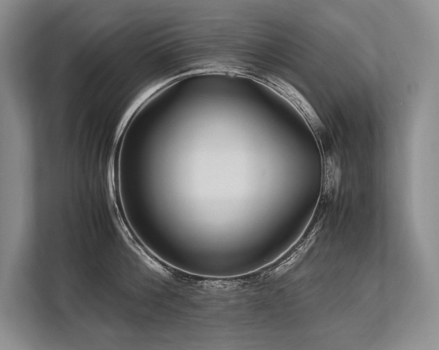 X0000113750812200909231130
