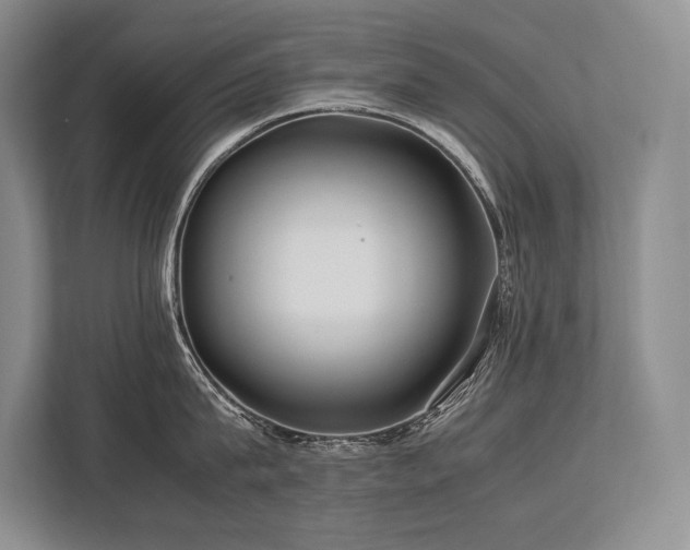 X0000113750815200909231130