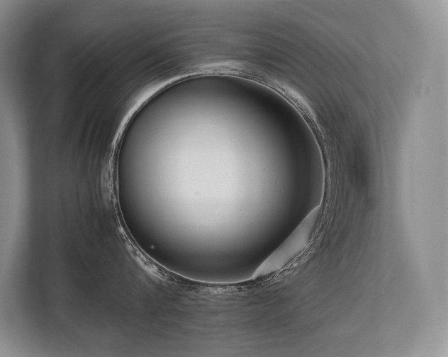 X0000113750816200909231130
