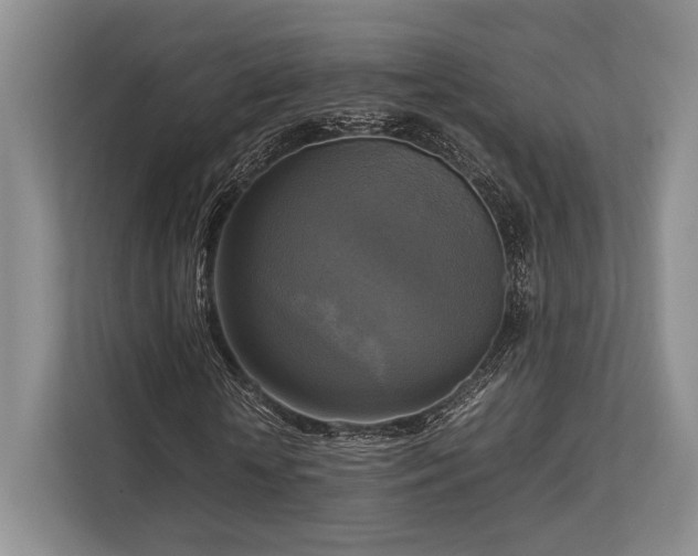 X0000113750818200909231129