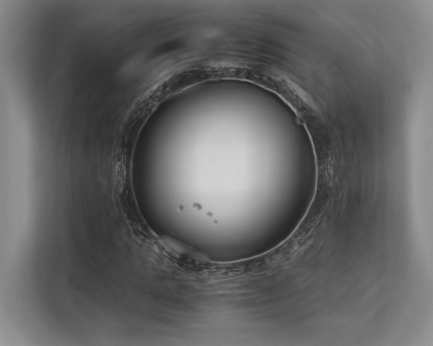 X0000113750821200909231130