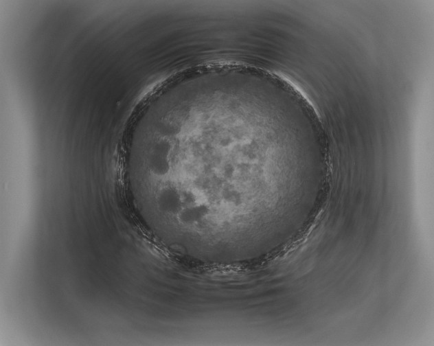 X0000113750823200909231130