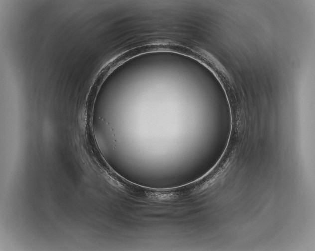 X0000113750831200909231130