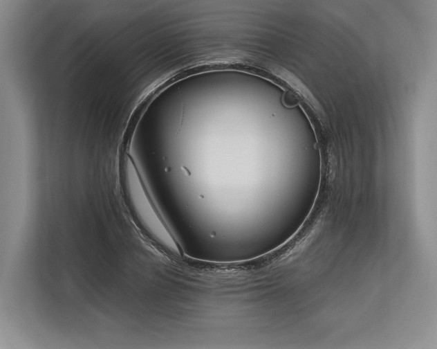 X0000113750834200909231130