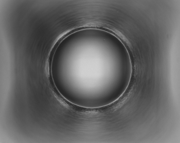 X0000113750838200909231130