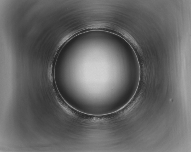 X0000113750842200909231130