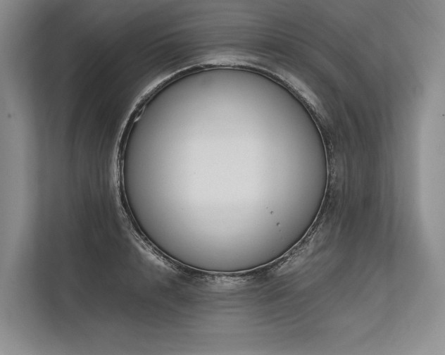 X0000113750848200909231130