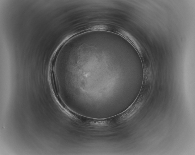 X0000113750851200909231130
