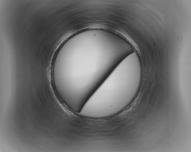X0000113750853200909231130