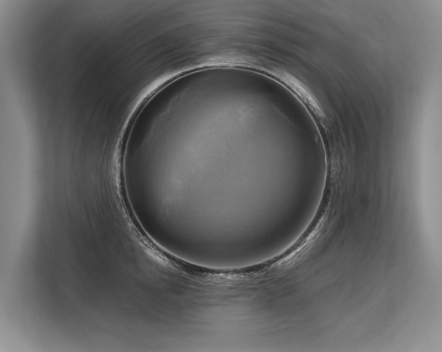 X0000113750854200909231130