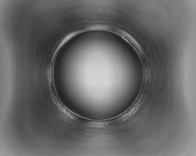 X0000113750860200909231130