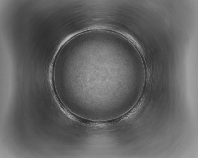 X0000113750862200909231130